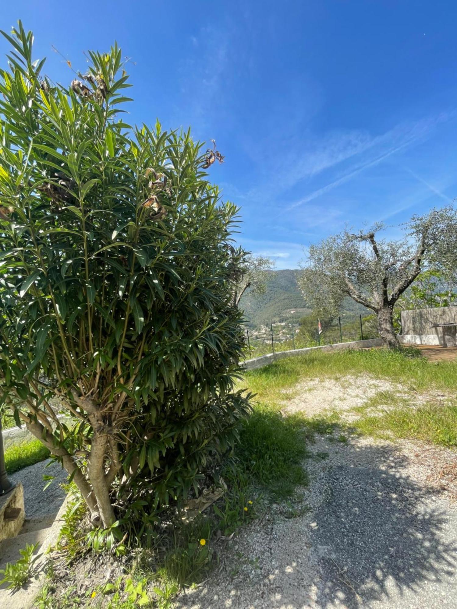 Charme Provencal Pres De Nice Blausasc Extérieur photo